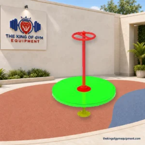 Disc Merry Go Round TGKS047 by The King of Gym Equipment