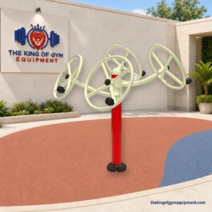 Tai Chi Spinner TGKS121 by The King of Gym Equipment